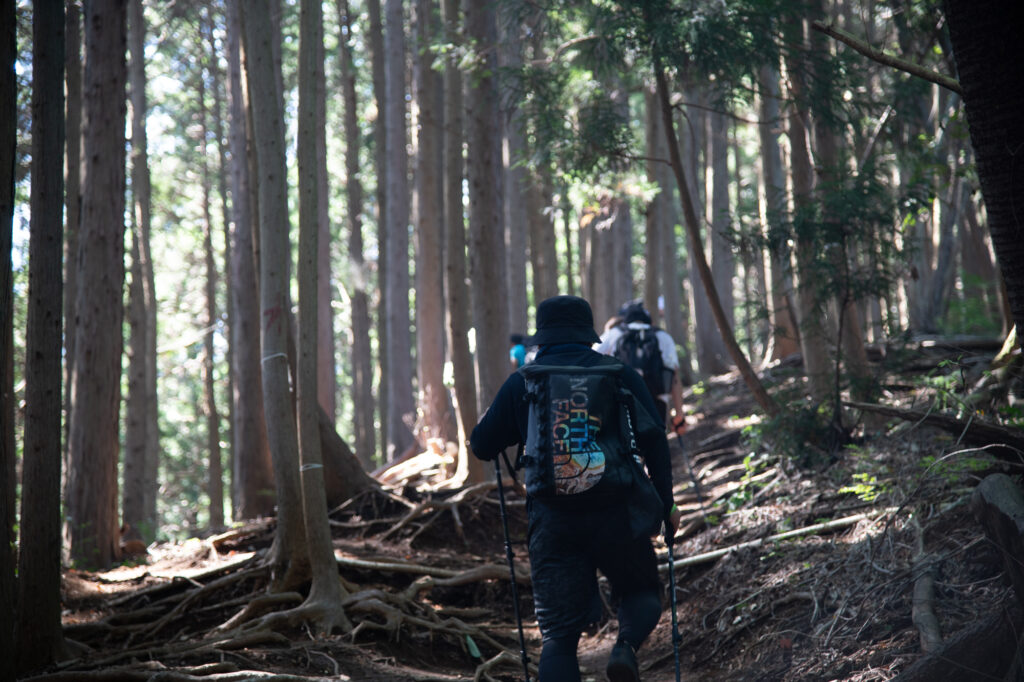 陣馬山_登山道