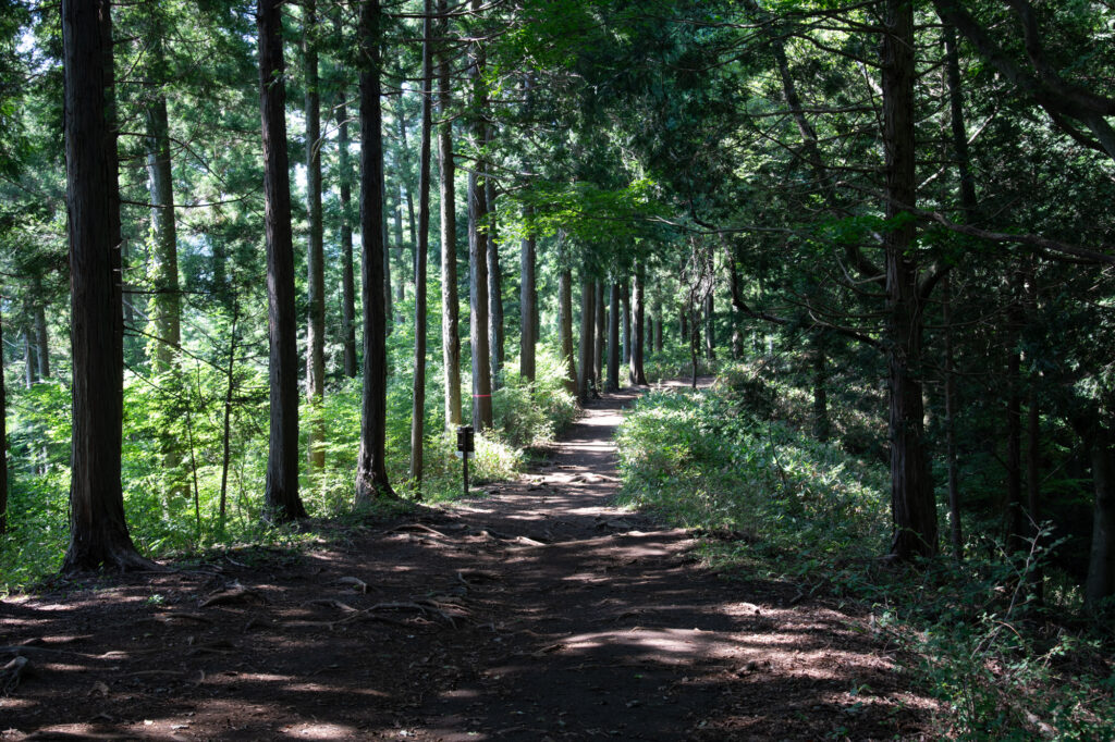 景信山登山道