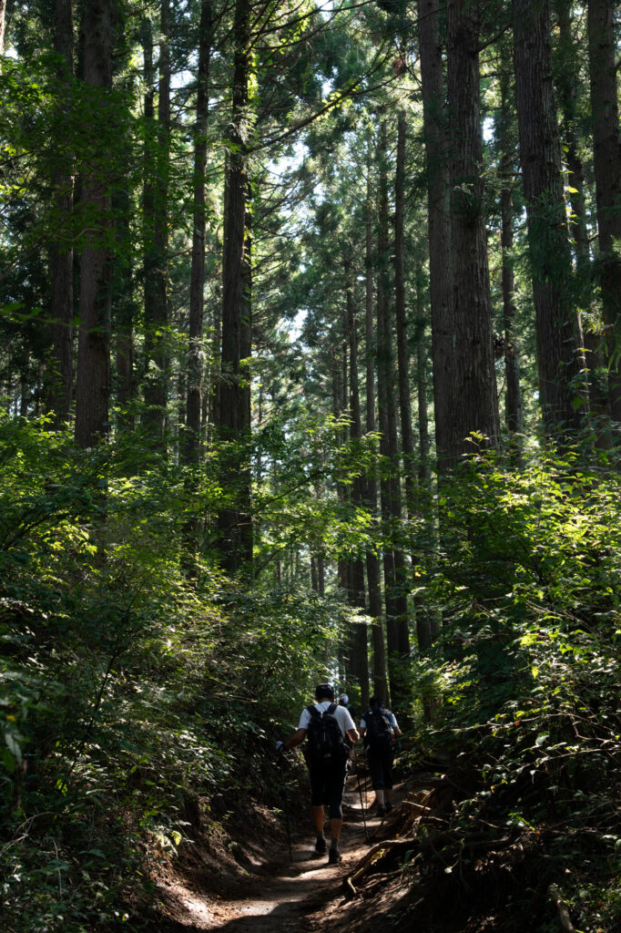 城山への登山道
