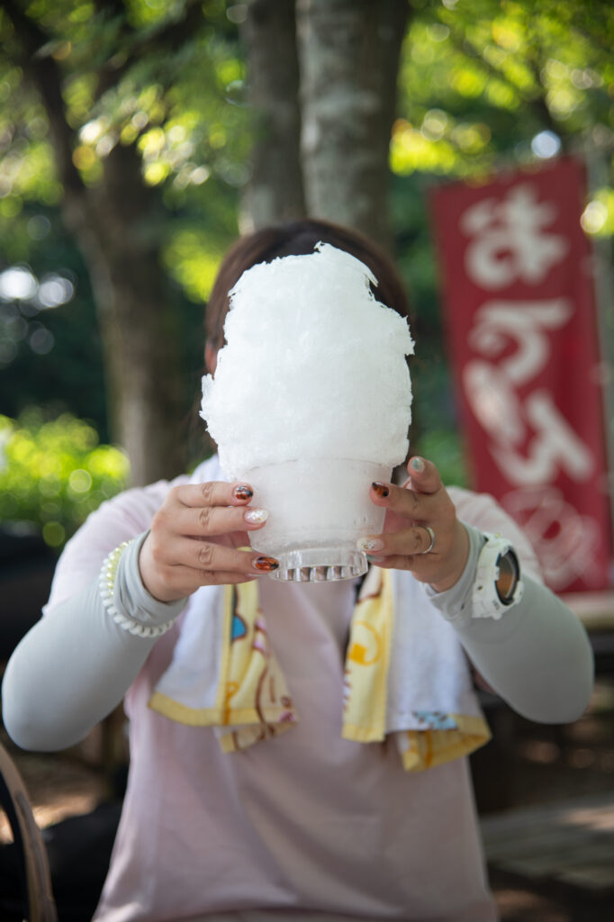 城山茶屋かき氷