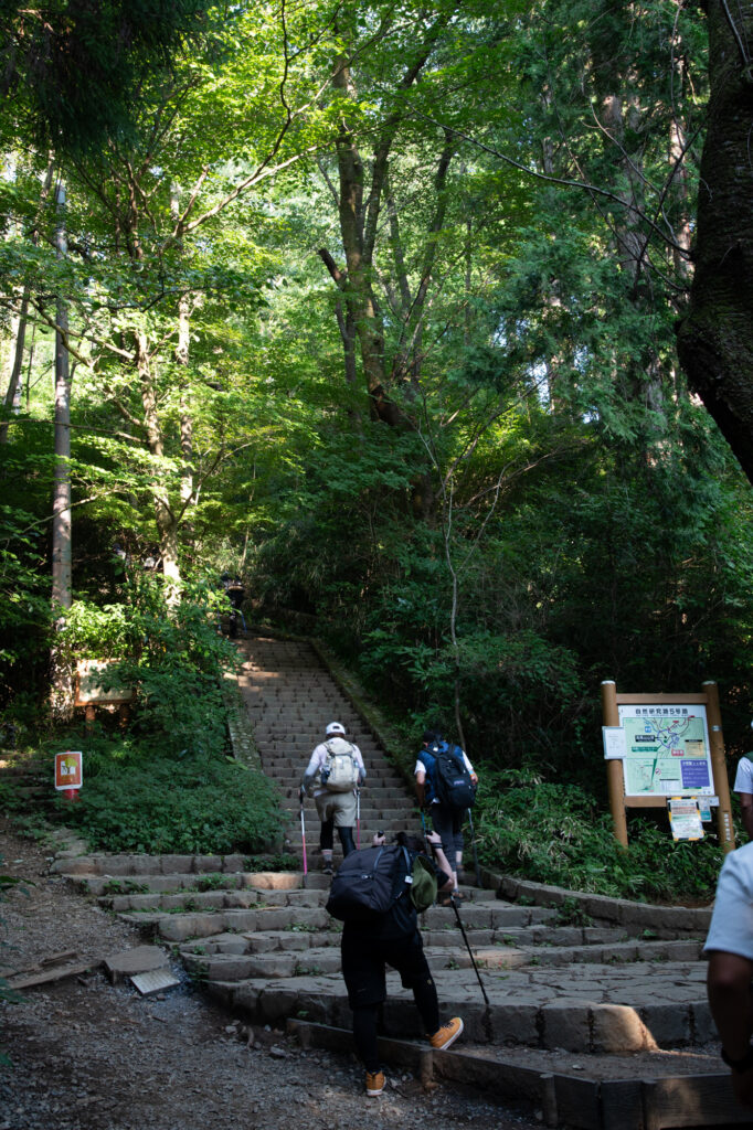 城山から高尾山へ向かう急登