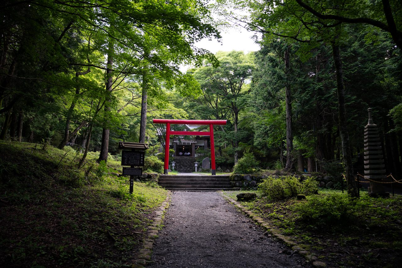金時山・明神ヶ岳縦走 02