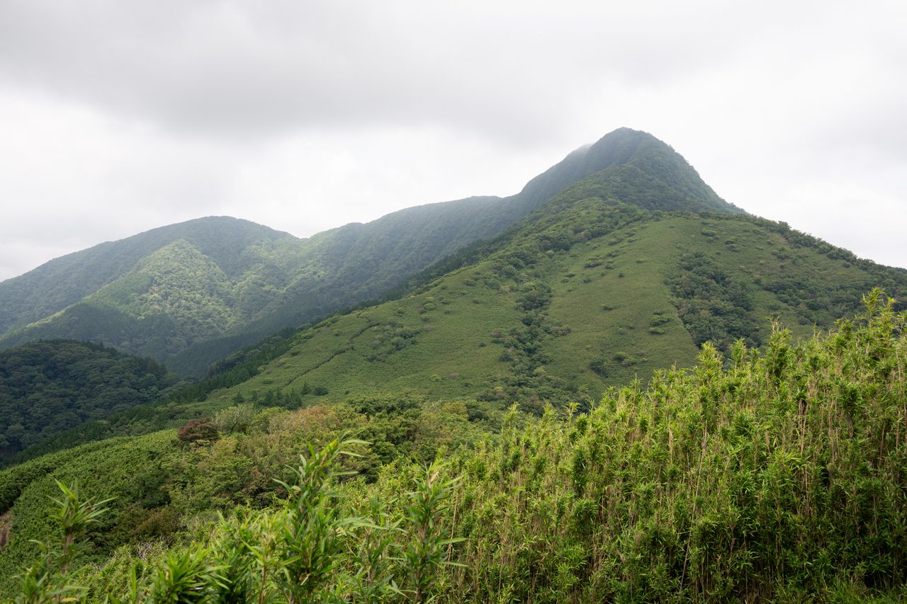 後ろには金時山