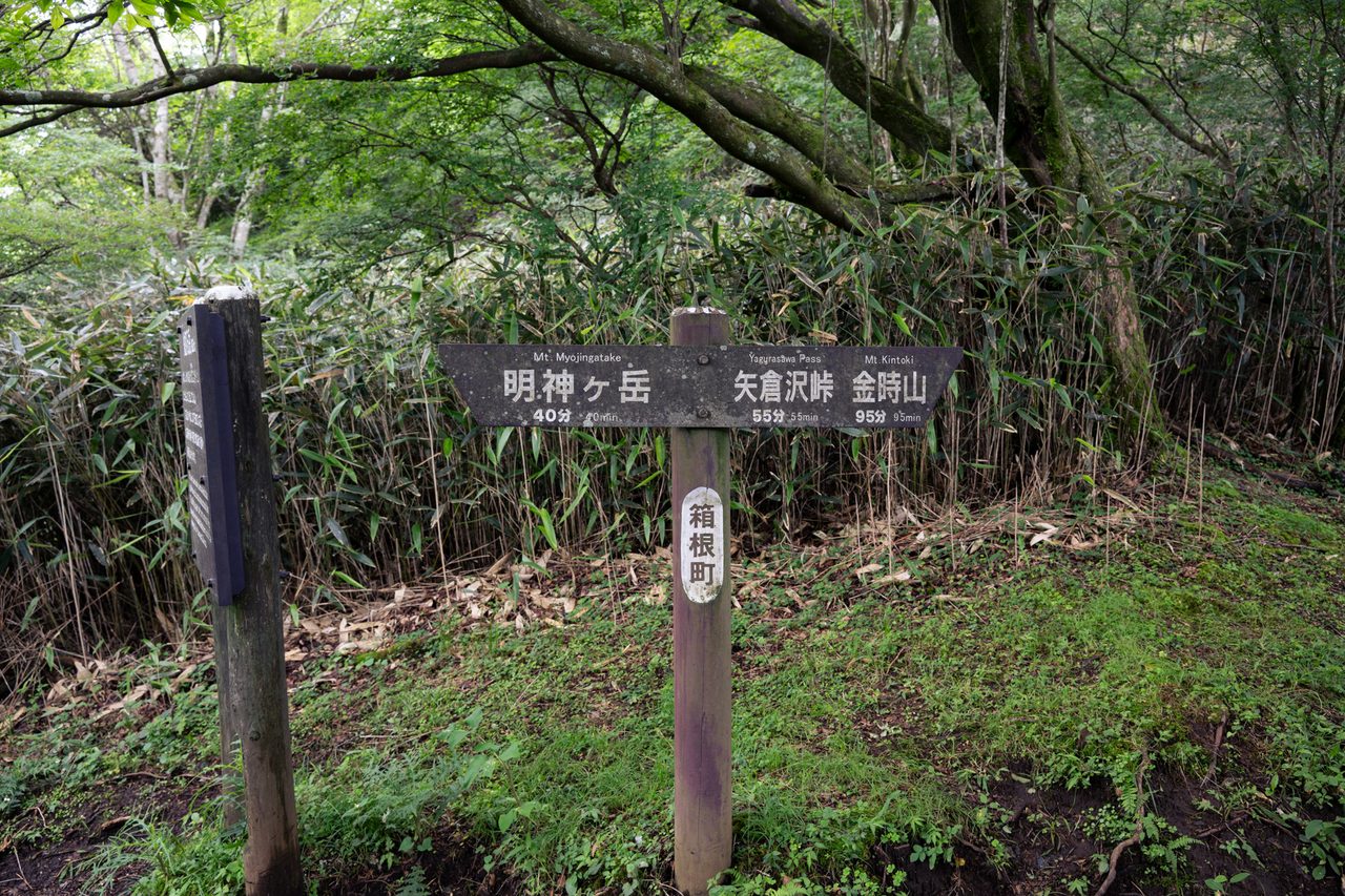 あと明神ヶ岳まで40分!これから緩やかに登りが続きます。