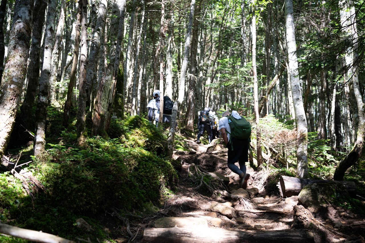 まずは朝日岳を目指し、登って行きます。