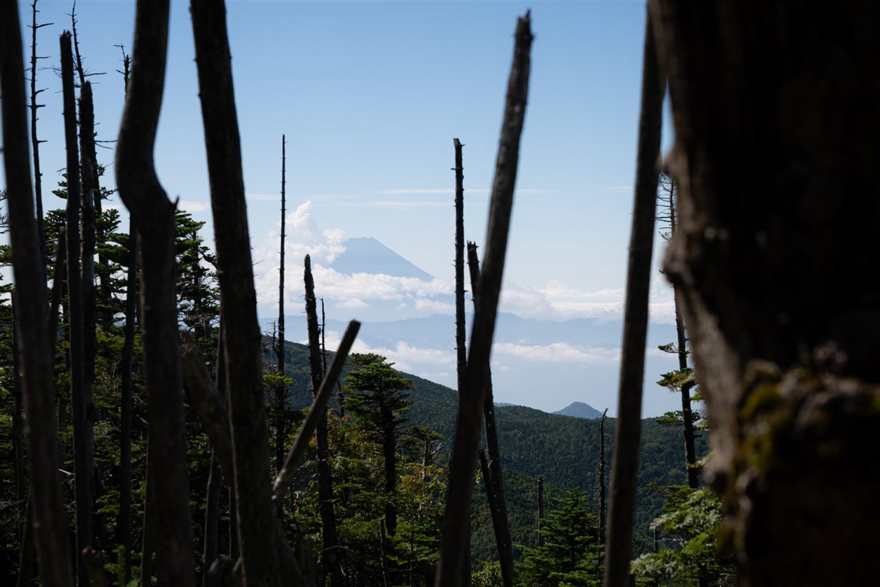 合間から富士山が見えます。天気が良くてよかったです！