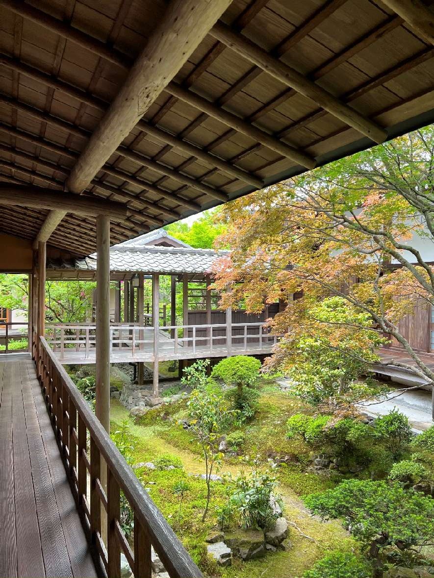 数寄屋建築の軒裏と庭園